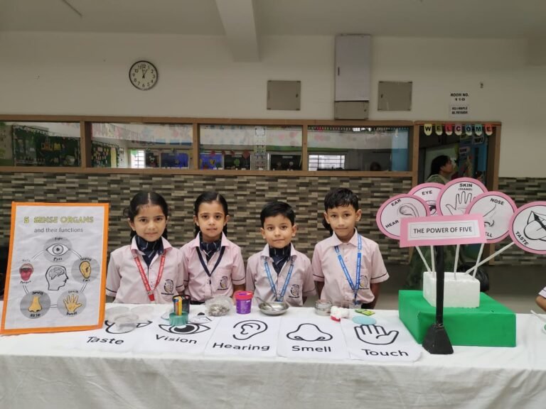 A Sensory Adventure Discovering the Five Sense Organs