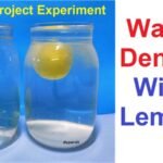 Learning on the Go – Grade 2B Science Experiment on “Water Density with Lemons”