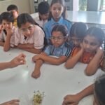 Magic of Growing plants 2